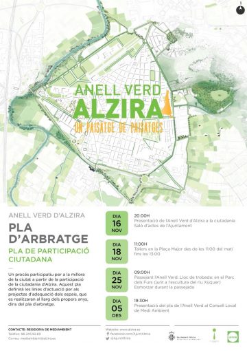 20171110 Anell verd