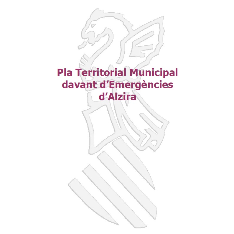 Pla Emergencies nov 2019