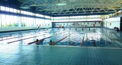 NATACIÓN / NATACIÓ piscina3-245x130