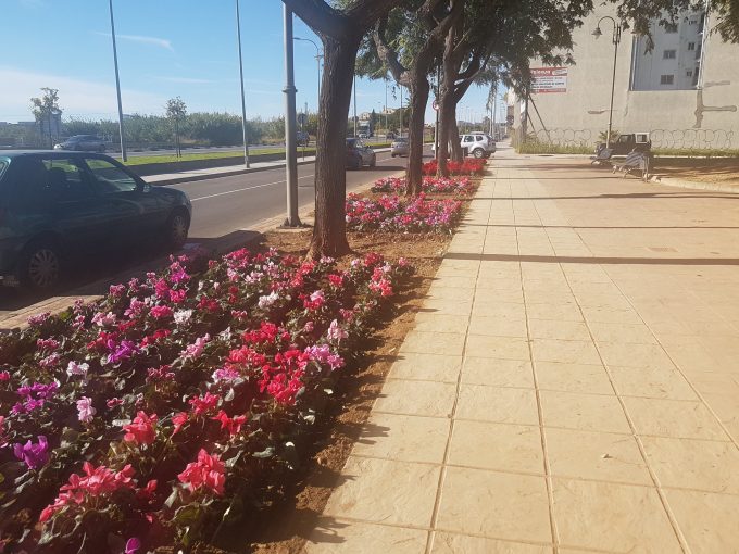 47580039 1191873870965278 4983215227995684864 o