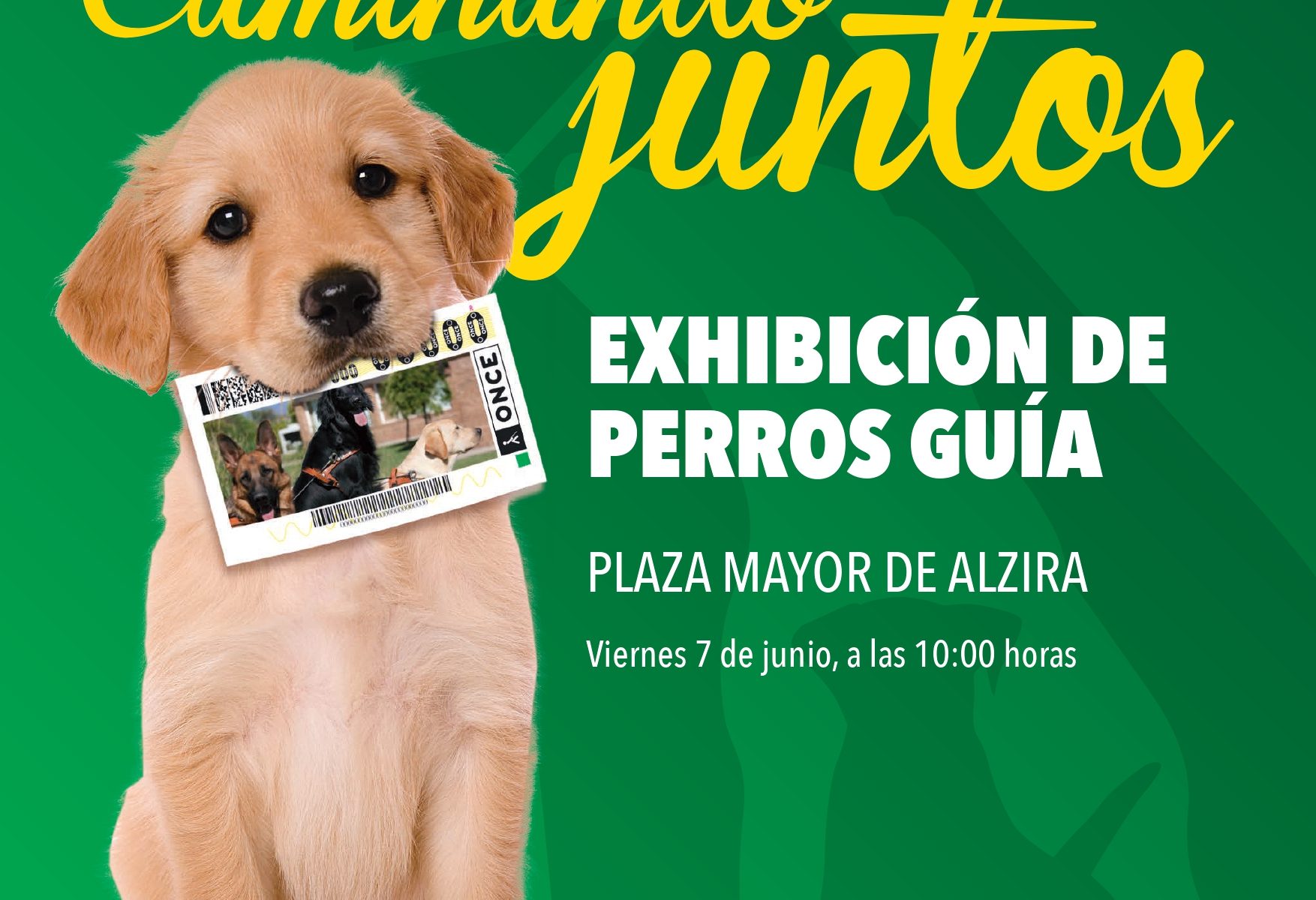 cartel alzira page-0001