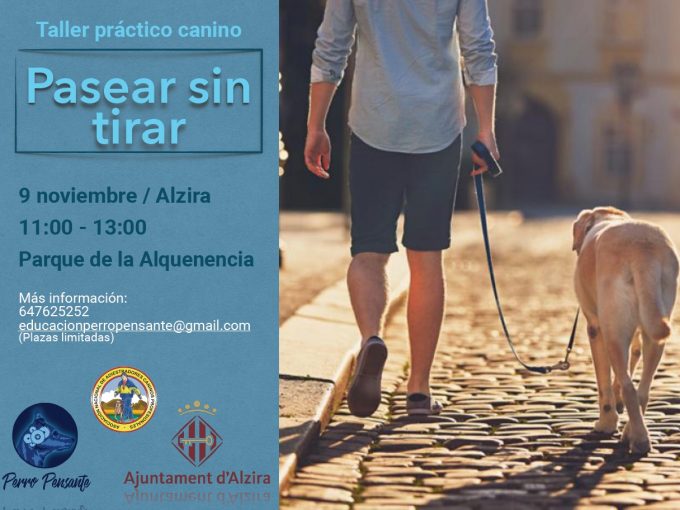 Pasear sin tirar 9-11-19