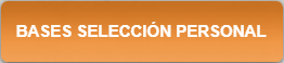 bases seleccion personal