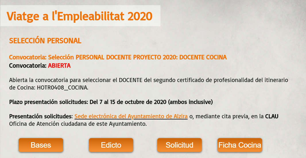 viatge empleabilitat 2020 alzira