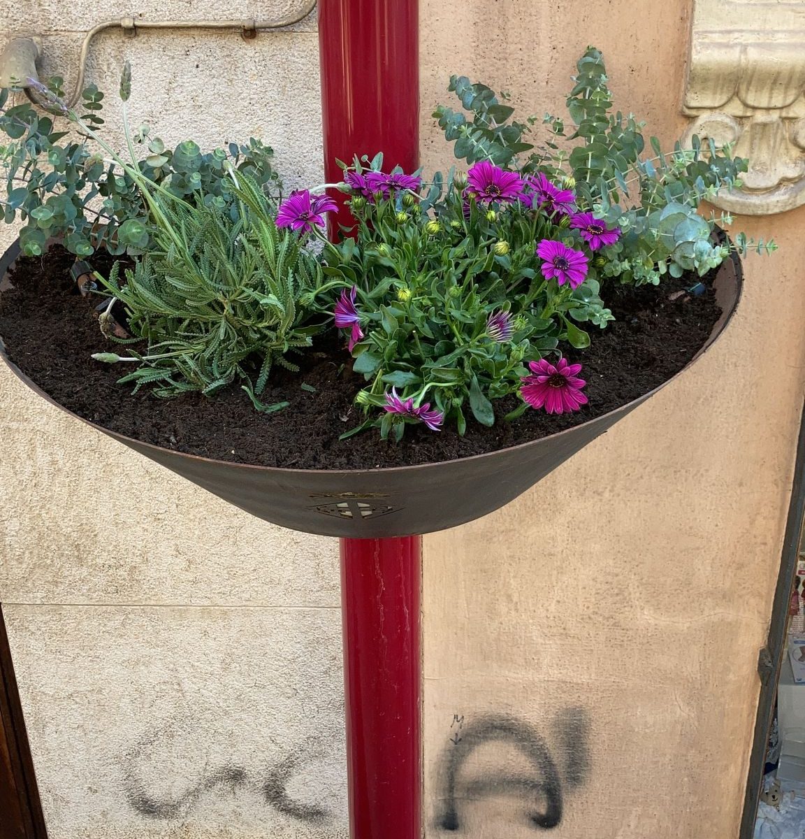 maceteros Hort dels Frares