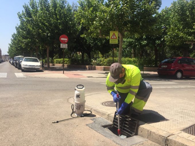 Alzira realitza hui, dimecres i dijous un nou tractament contra el mosquit tigre a embornals, zones d’acumulació d’aigua i espais verds