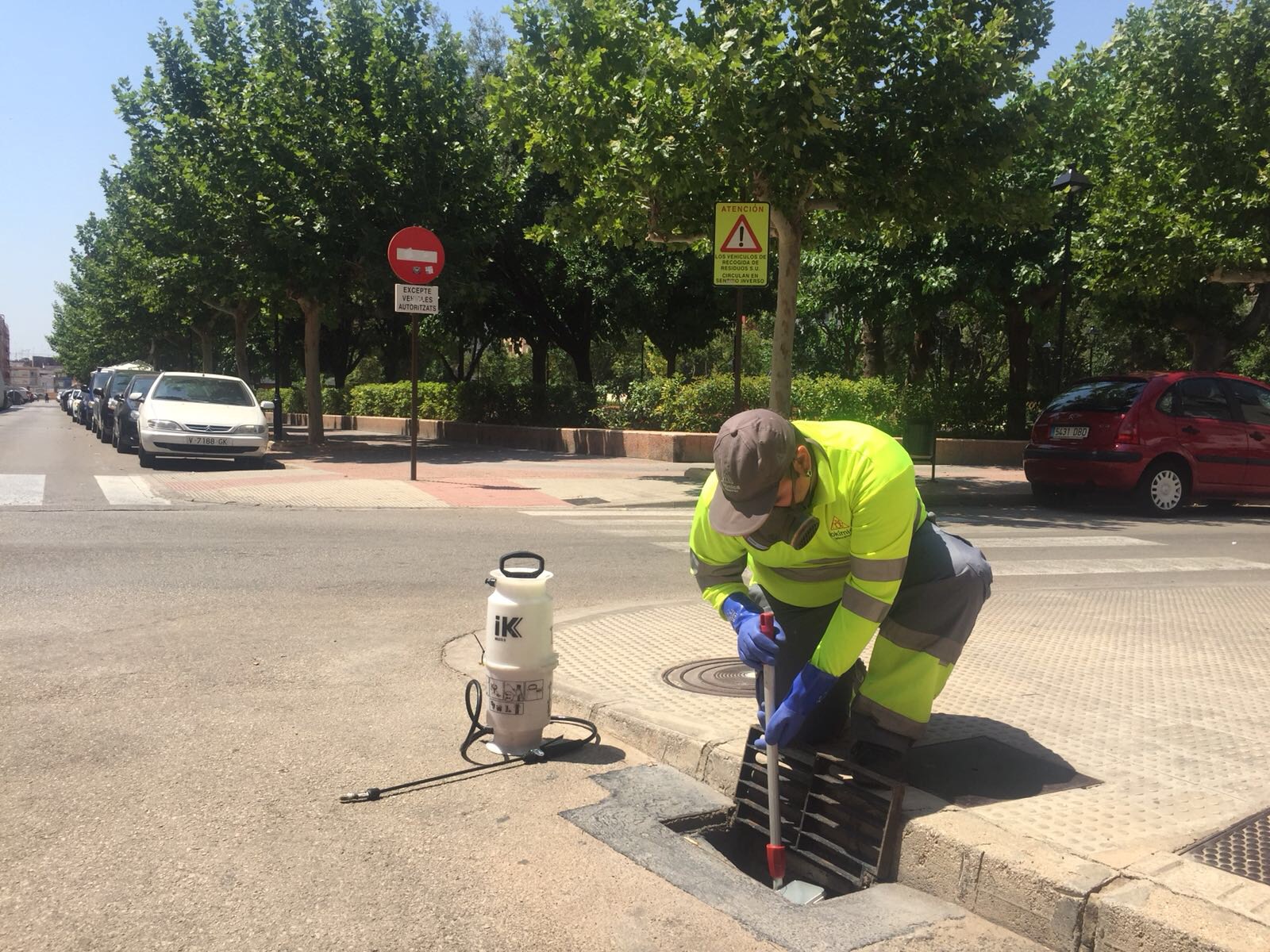 Alzira realiza hoy, miércoles y jueves un nuevo tratamiento contra el mosquito tigre en alcantarillas, zonas de acumulación de agua y espacios verdes