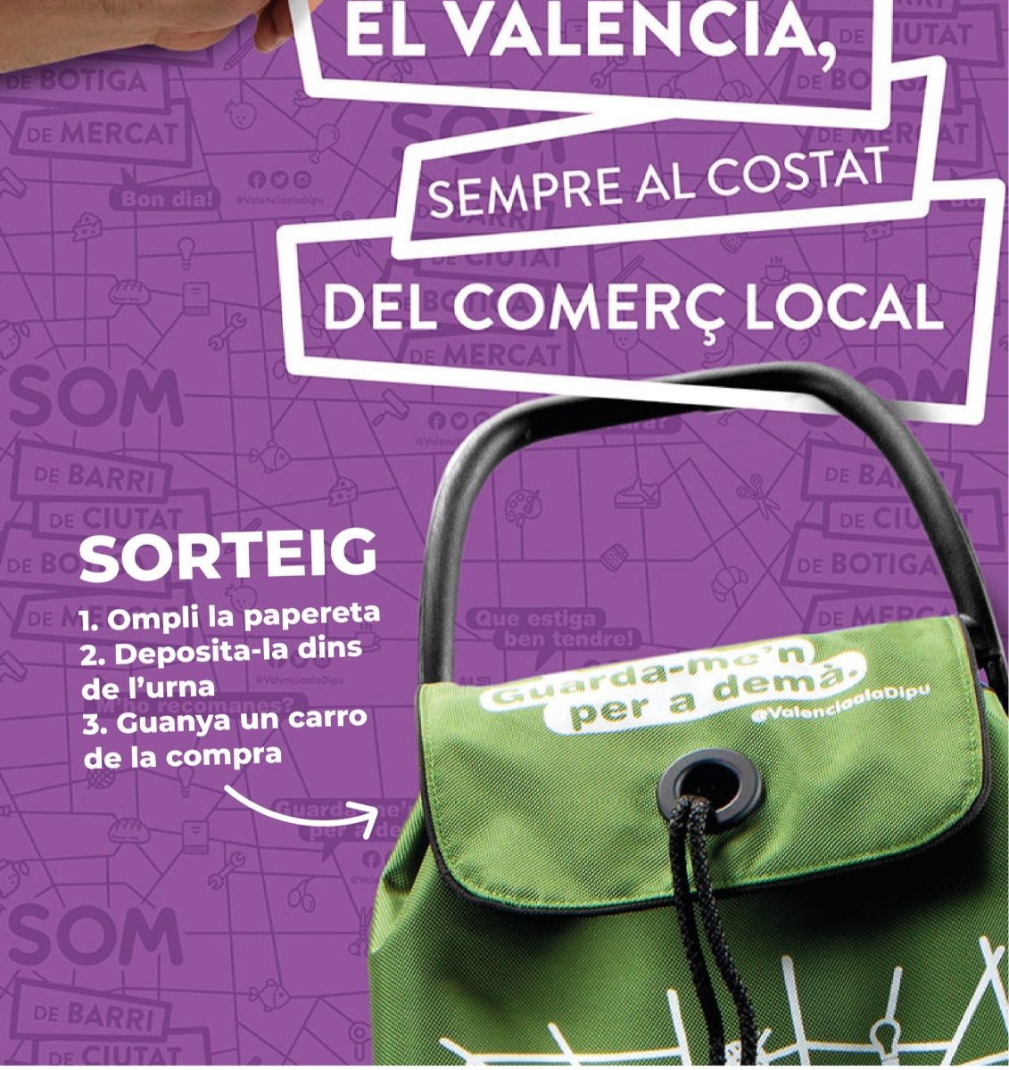 promoció del valencià