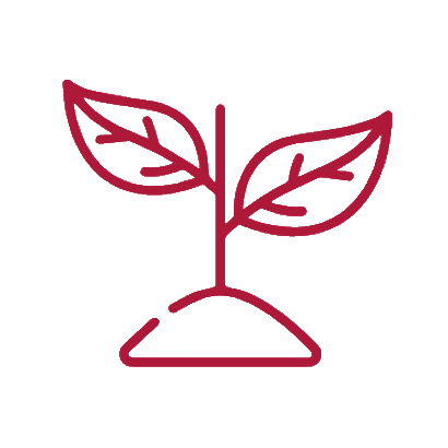 Òrgan Ambiental i Territorial