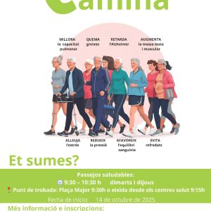 Alzira Camina