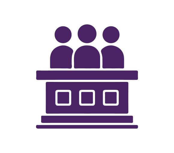 Miembro mesa electoral