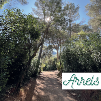 FESTES DE BARRI