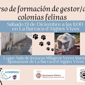 Curs de formació de gestor/a de colònies felines