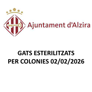 GATS ESTERILITZATS PER COLONIES